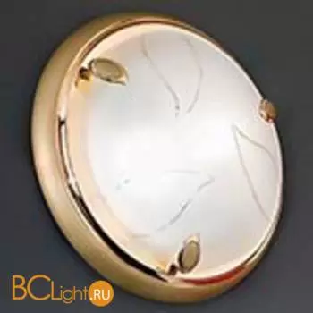 Настенно-потолочный светильник Orion Leuchten NU 9-386/31 gold-matt